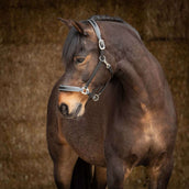 Harry's Horse Halter Sparkle Leather Black