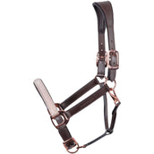 Harry's Horse Halter Broadway Leather Brown