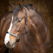 Harry's Horse Head Collar Set Metallic II Black