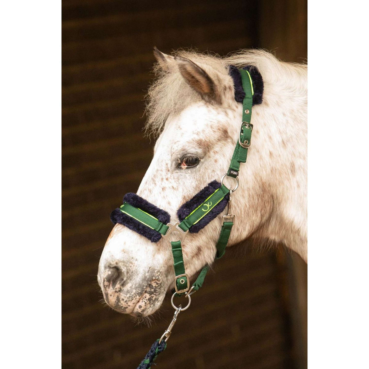 Harry's Horse Head Collar Set STOUT! Soft Lime Army Green
