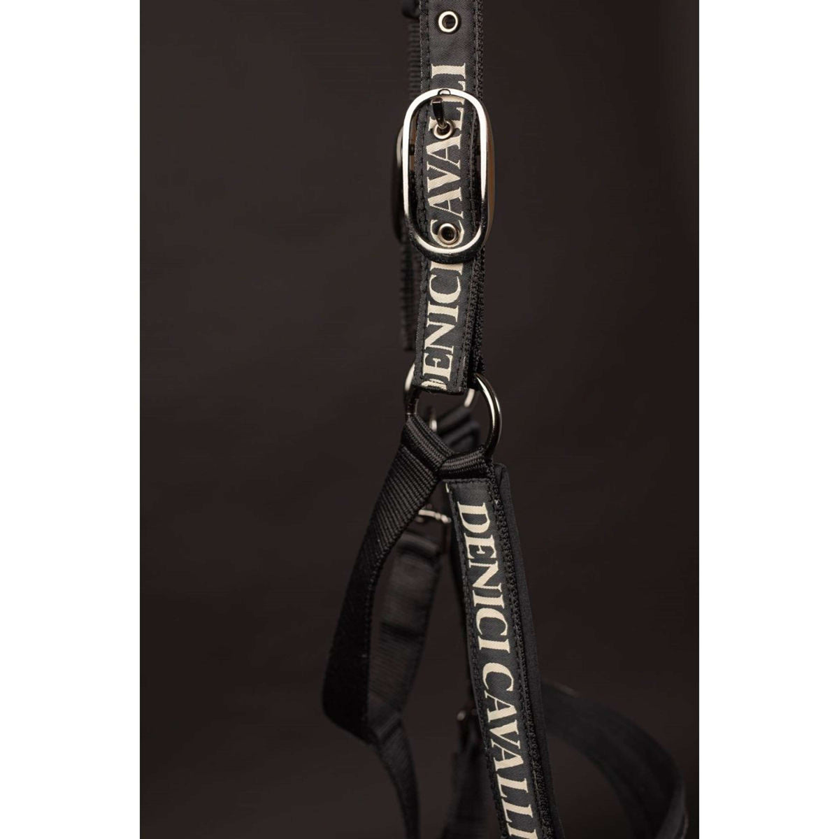 Harry's Horse Head Collar Set Denici Cavalli Stardust Black