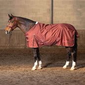 Harry's Horse Rain Rug Thor WI25 Fleece 0gr Spiced Apple