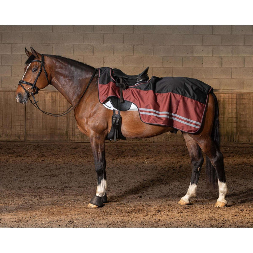 Harry's Horse Exercise Rug WI25 Fleece 0gr Waterproof Jet Black Harry's Horse Exercise Rug WI25 Fleece 0gr Waterproof Jet Black