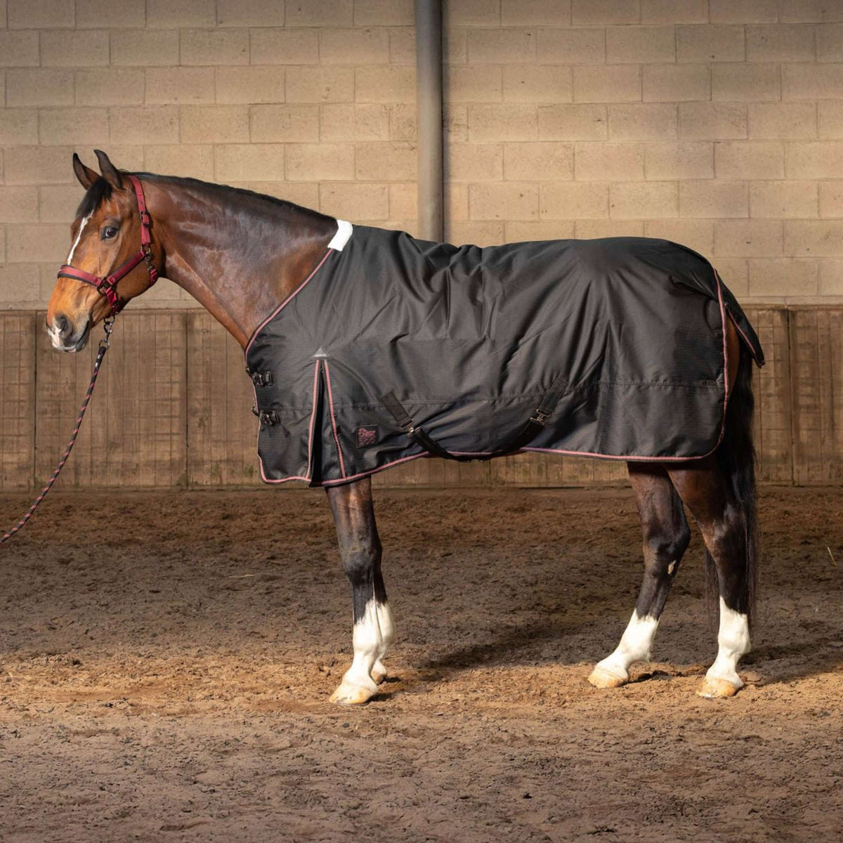 Harry's Horse Outdoor Rug Thor 200g WI25 Jet Black