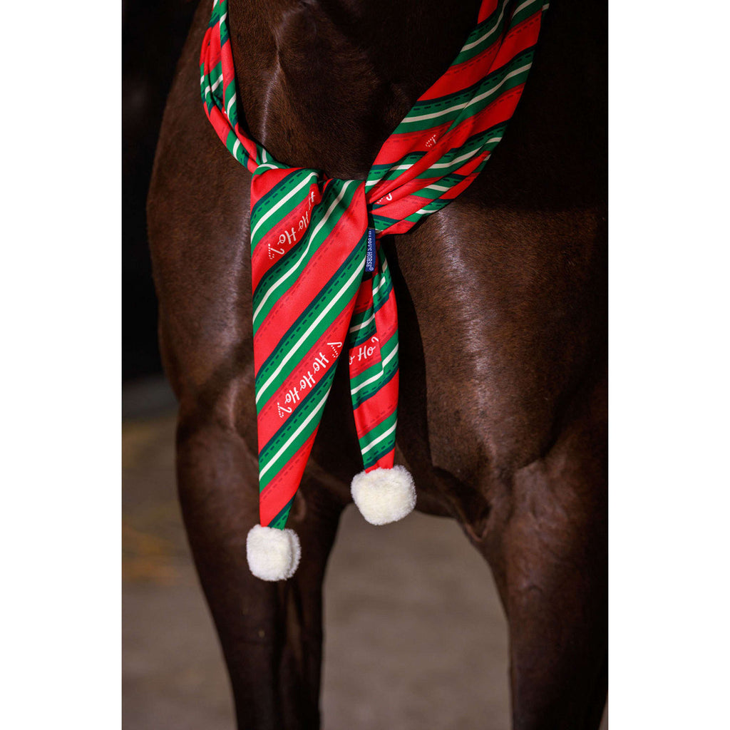 Harry's Horse Scarf Christmas '26 Red