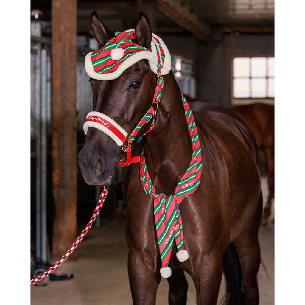 Harry's Horse Scarf Christmas '26 Red