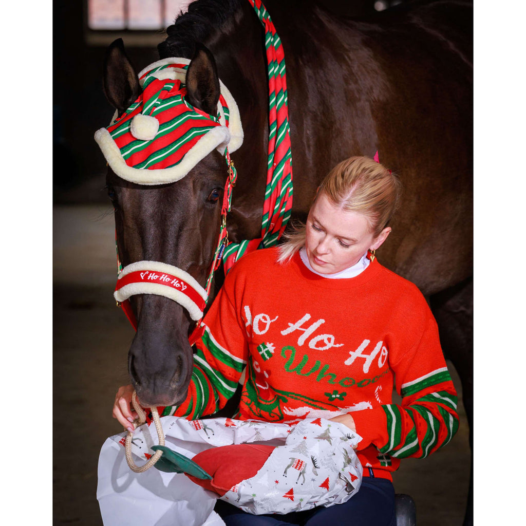 Harry's Horse Scarf Christmas '26 Red