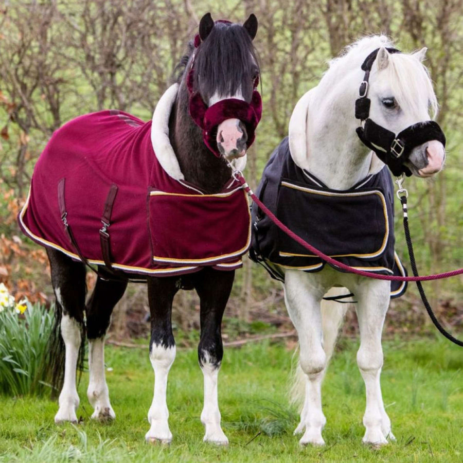 HB Harry & Hector Show Rug Dutch Crown Little Sizes Burgundy