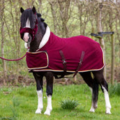 HB Harry & Hector Show Rug Dutch Crown Little Sizes Burgundy