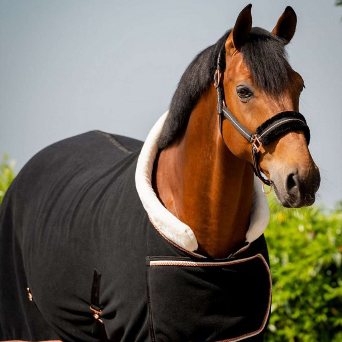 HB Show Rug Dutch Crown Europe Rose Black