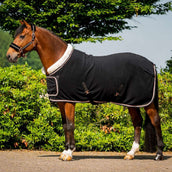 HB Show Rug Dutch Crown Europe Rose Black