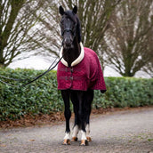 HB Show Rug Showtime Velvet Spring Burgundy