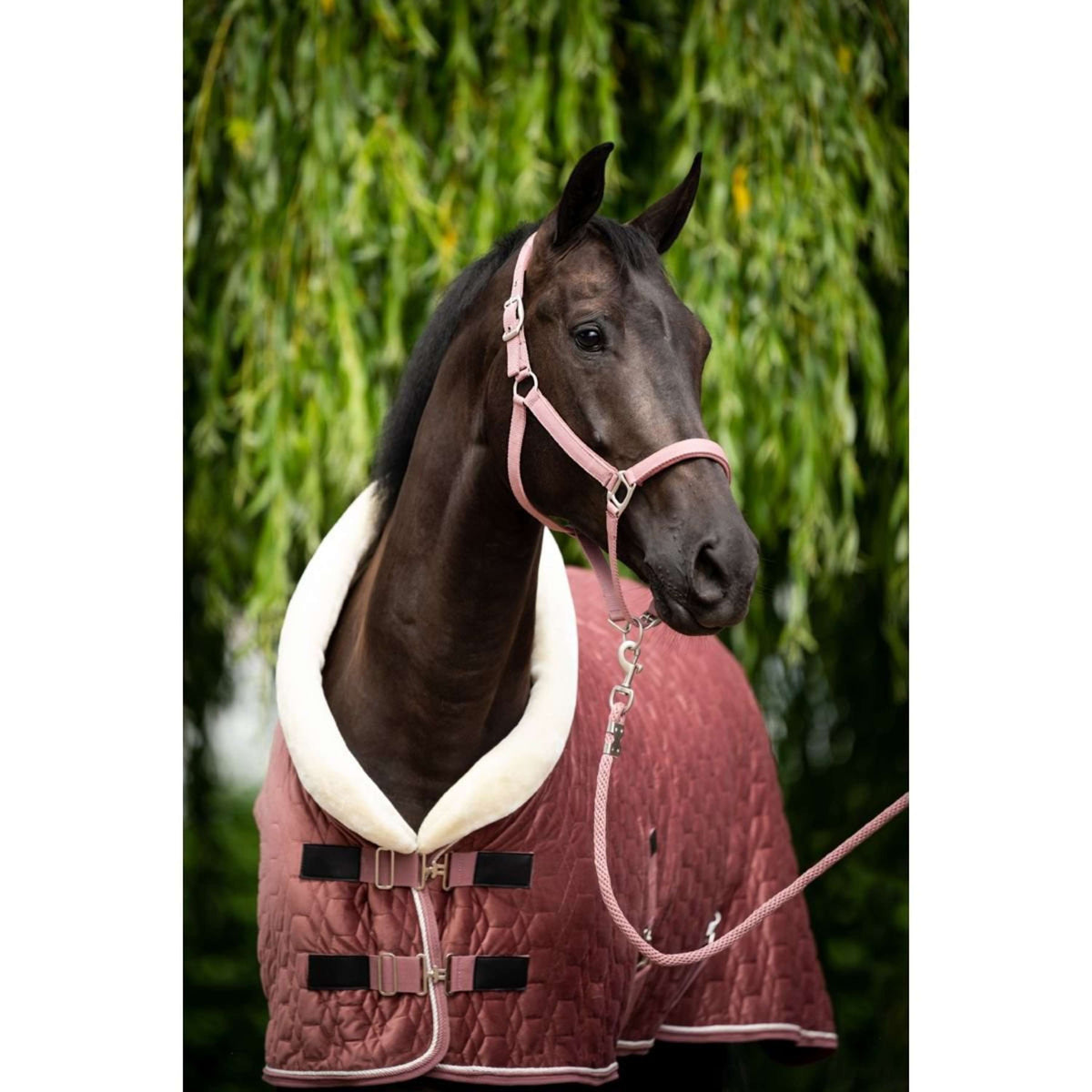 HB Show Rug Velvet Peach Tropical 160g Peach