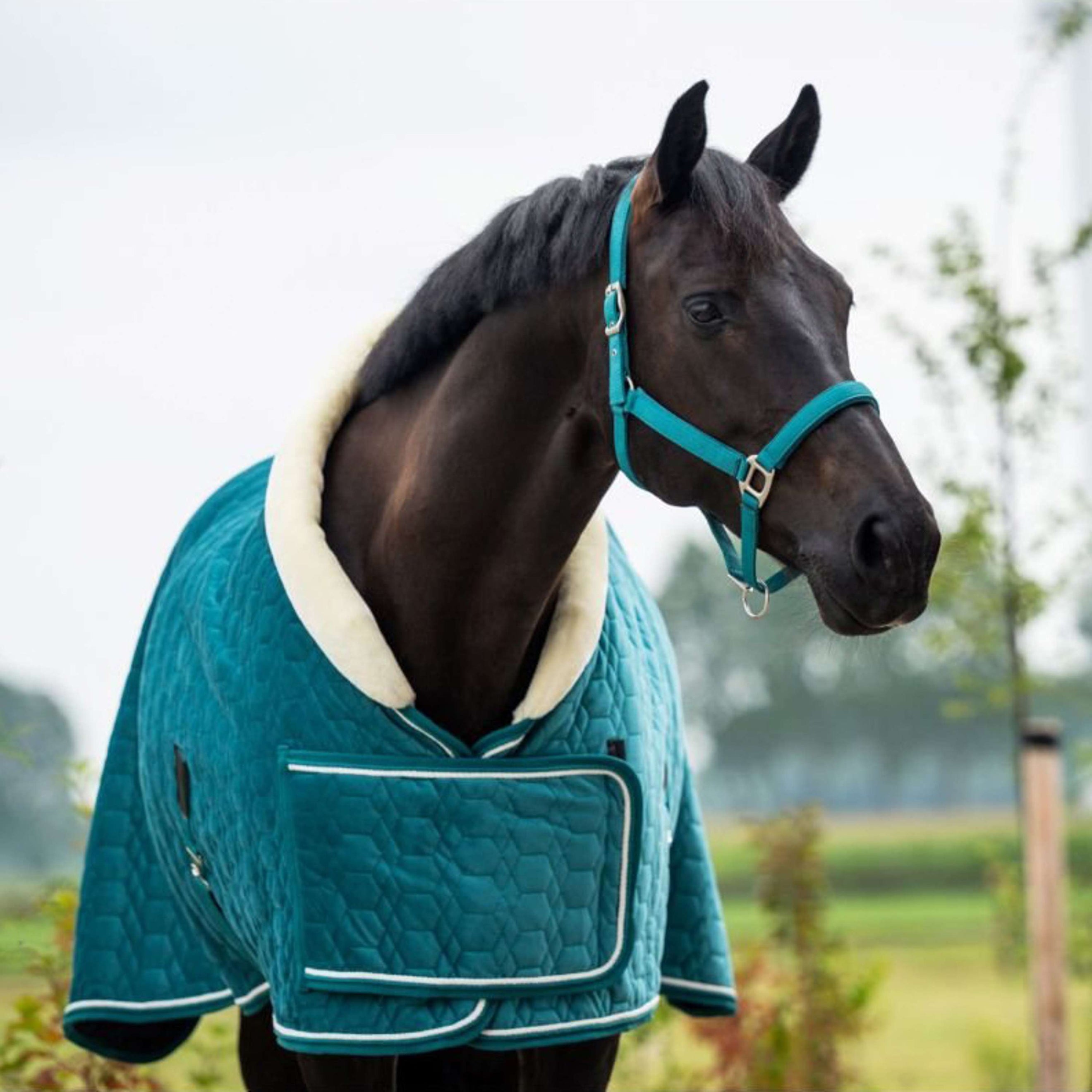 HB Showtime Show Rug Tropical Smaragd Green HB Showtime Show Rug Tropical Smaragd Green