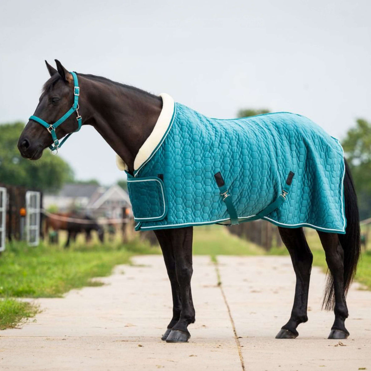 HB Showtime Show Rug Tropical Smaragd Green