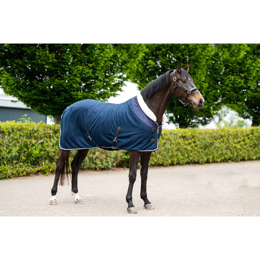HB Showtime Show Rug Crown Navy