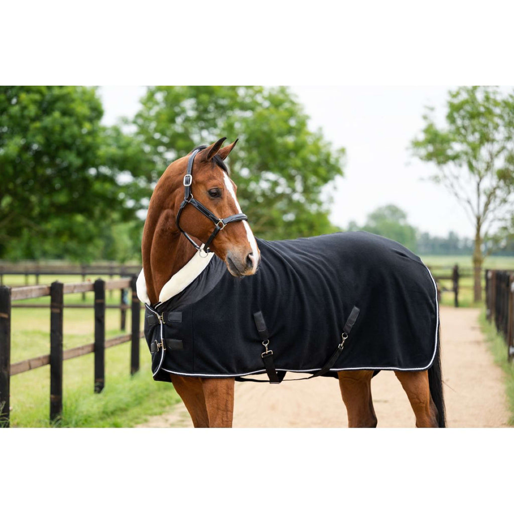 HB Showtime Show Rug Crown Black