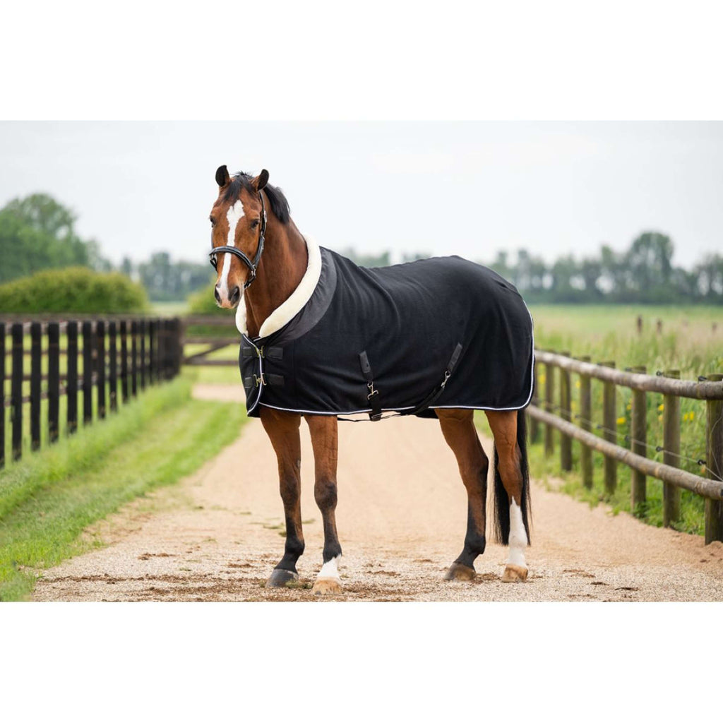 HB Showtime Show Rug Crown Black