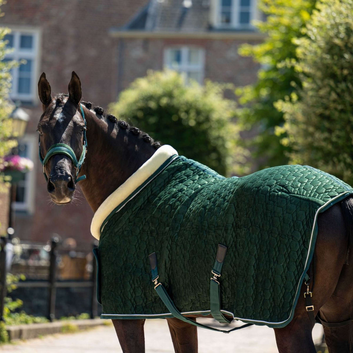 HB Ruitersport Show Rug Special Peach Forest Green