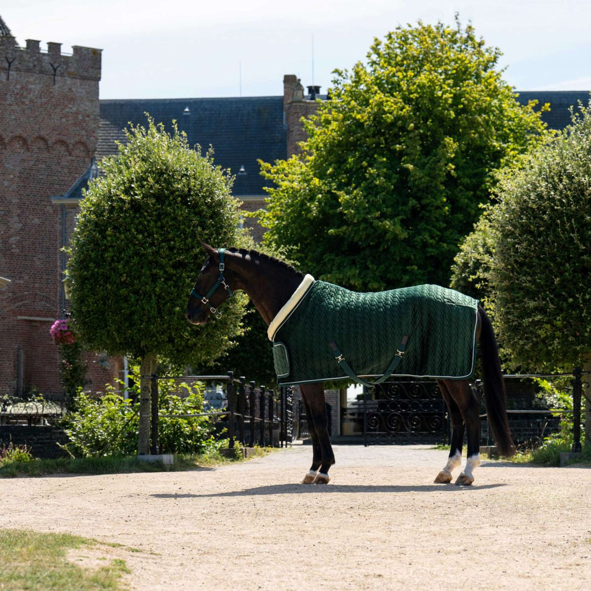 HB Ruitersport Show Rug Special Peach Forest Green