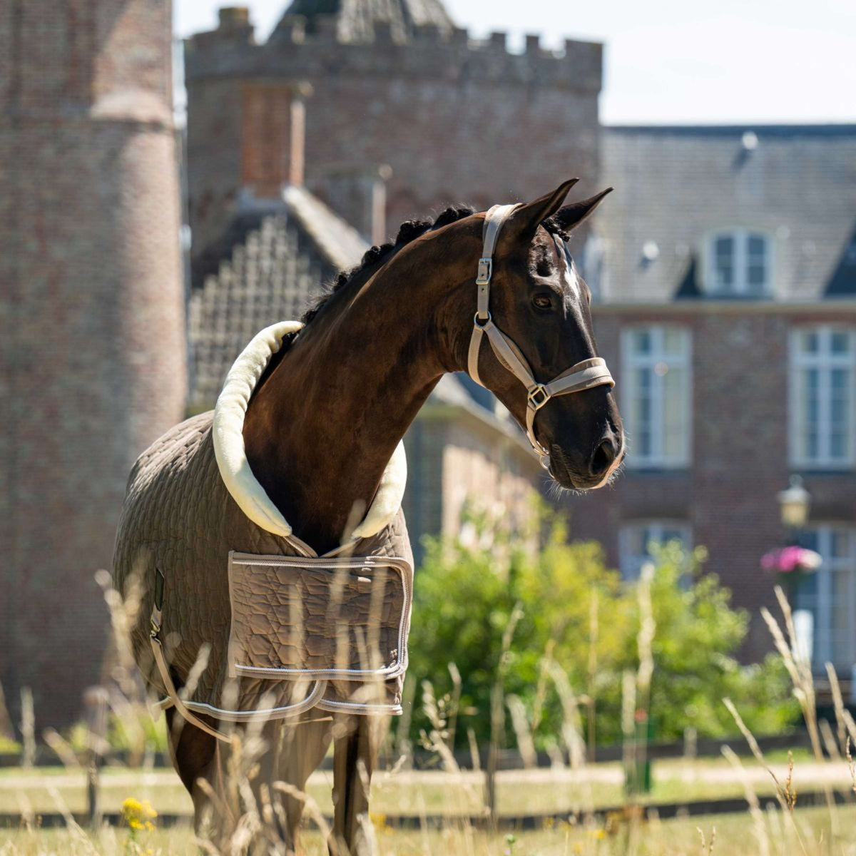 HB Ruitersport Show Rug Special Peach Taupe