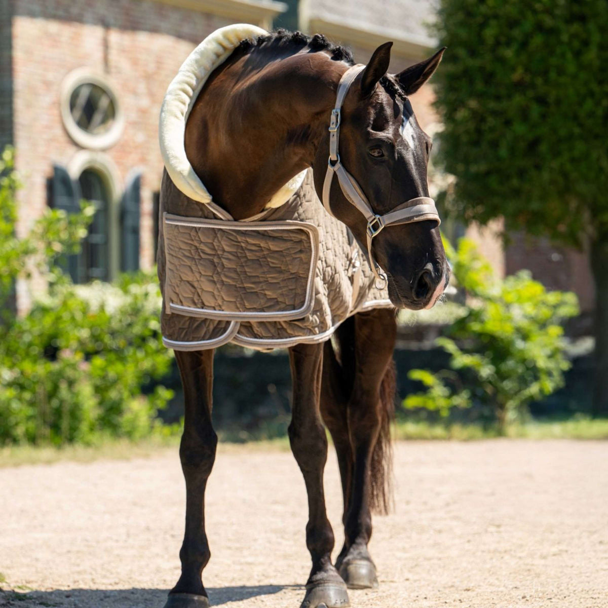 HB Ruitersport Show Rug Special Peach Taupe