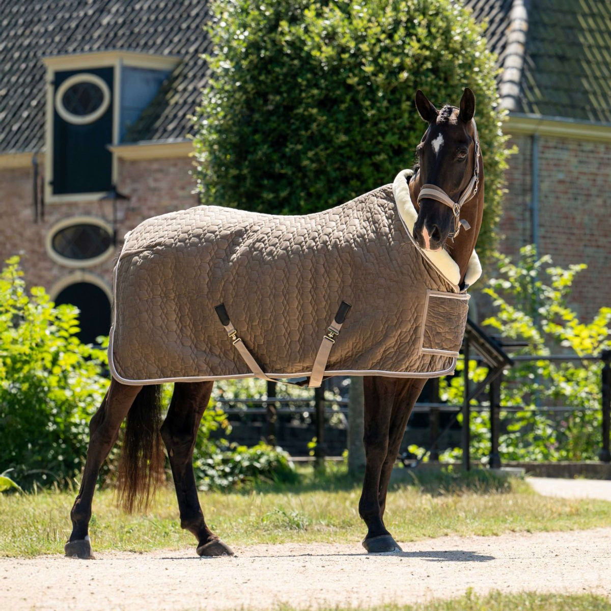 HB Ruitersport Show Rug Special Peach Taupe