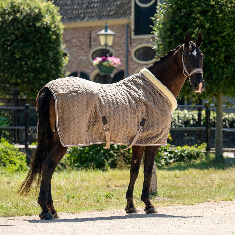 HB Ruitersport Show Rug Special Peach Taupe