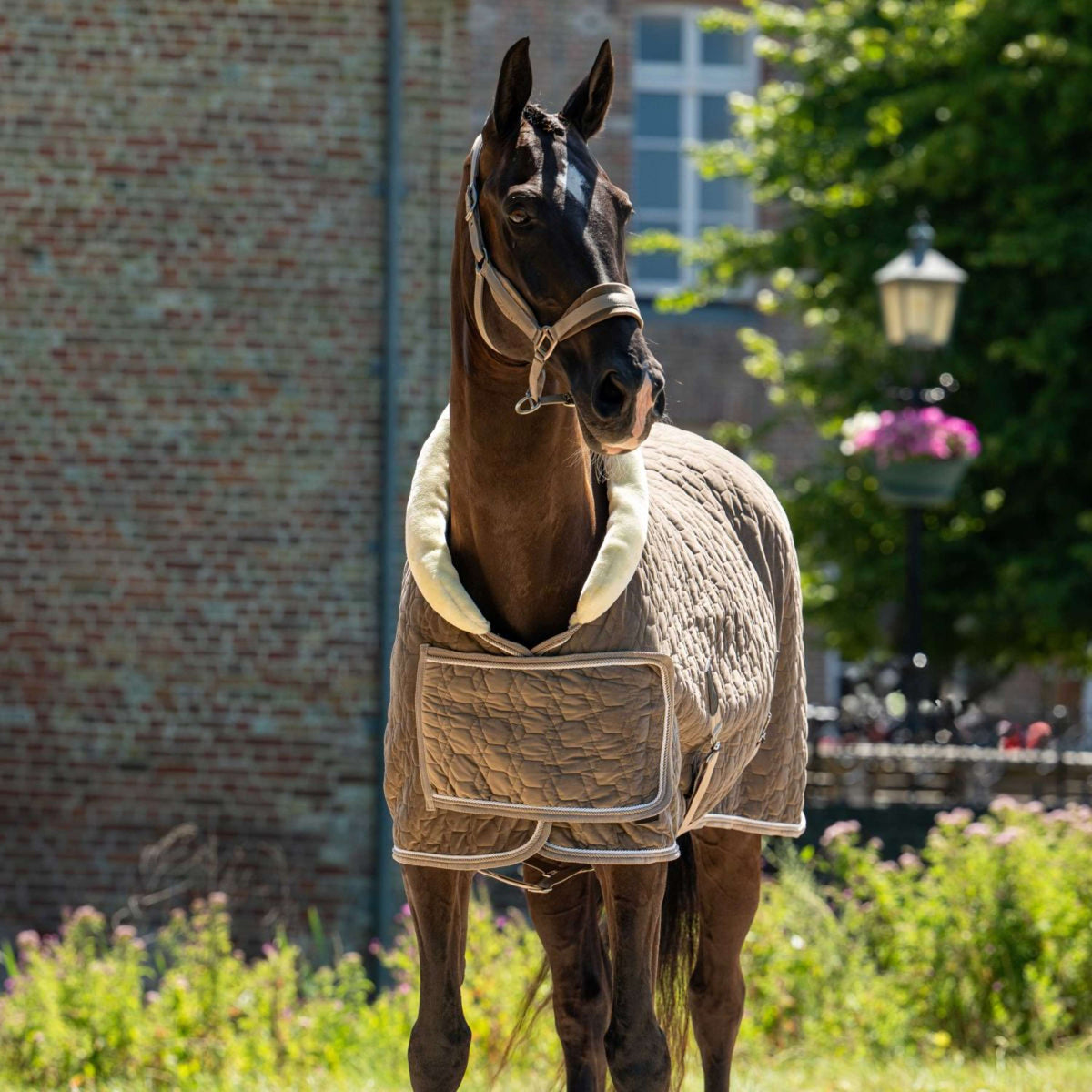 HB Ruitersport Show Rug Special Peach Taupe