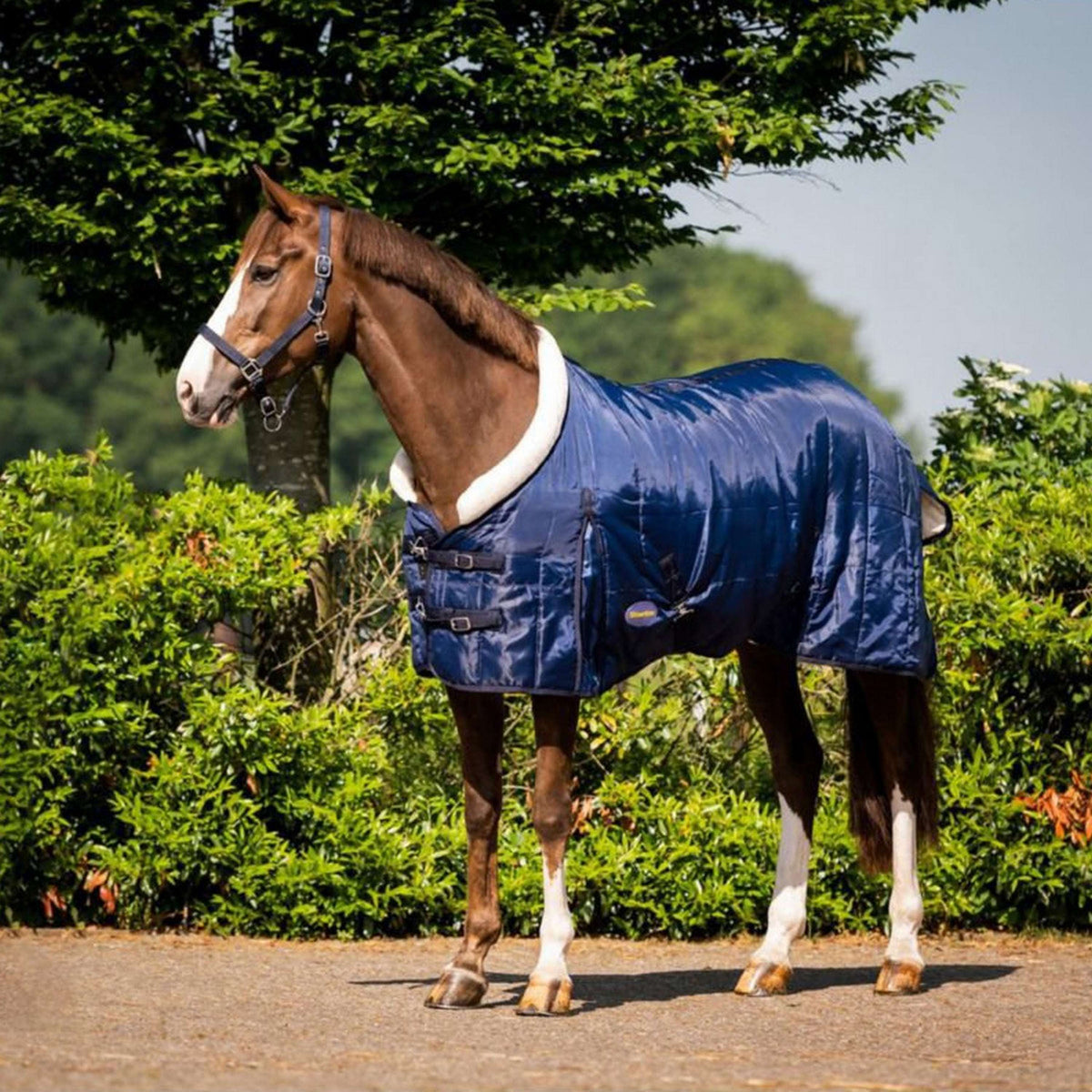 HB Harry & Hector Show Rug Fluffy Hood Navy