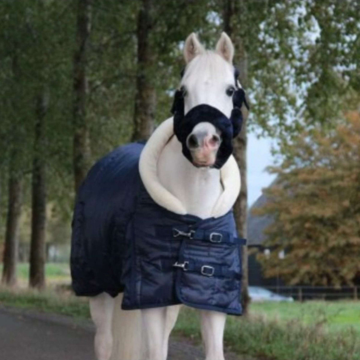 HB Harry & Hector Show Rug Fluffy Hood Navy