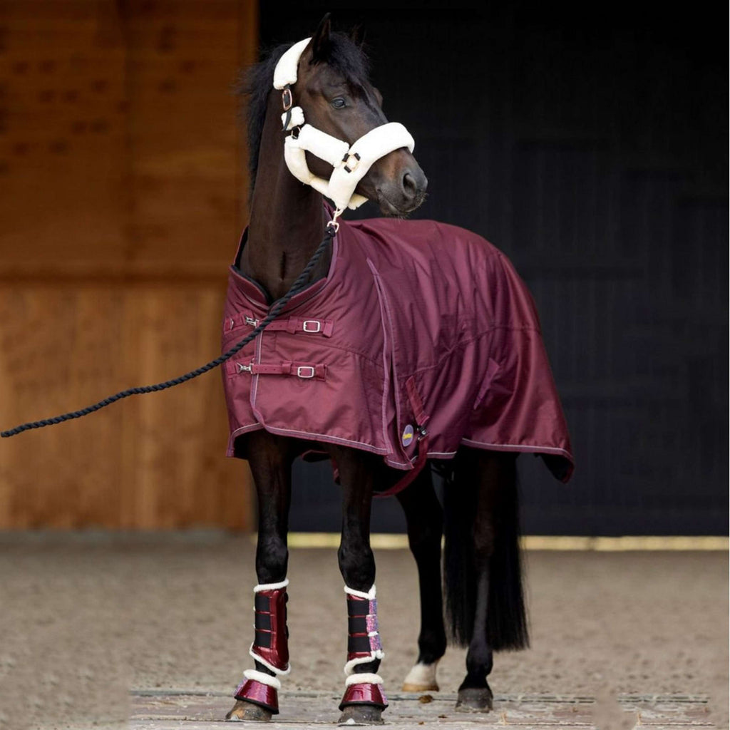 HB Showtime Outdoor Rug Channel 200g Burgundy