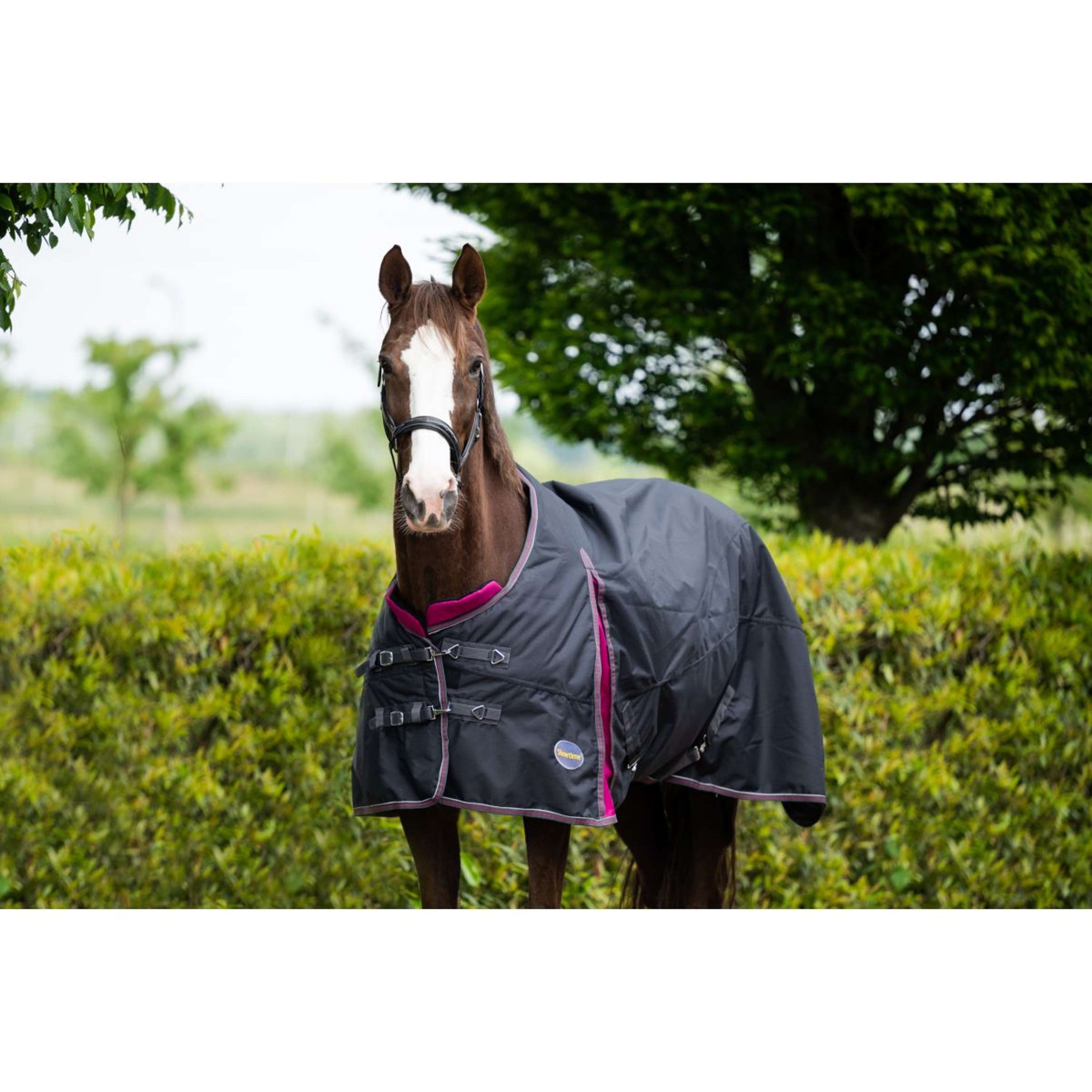 HB Ruitersport Winter Rug Showtime 300g