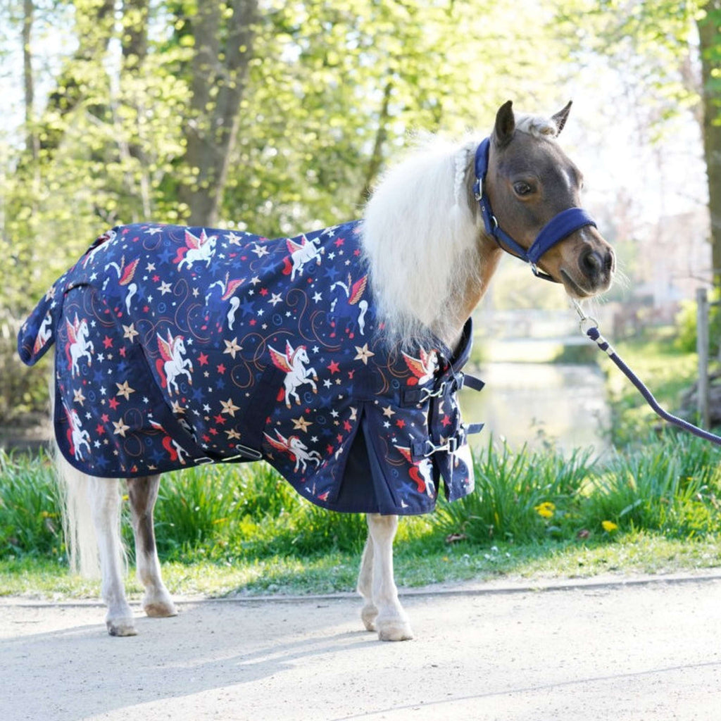 HB Outdoor Rug Little Sizes navy flying horse