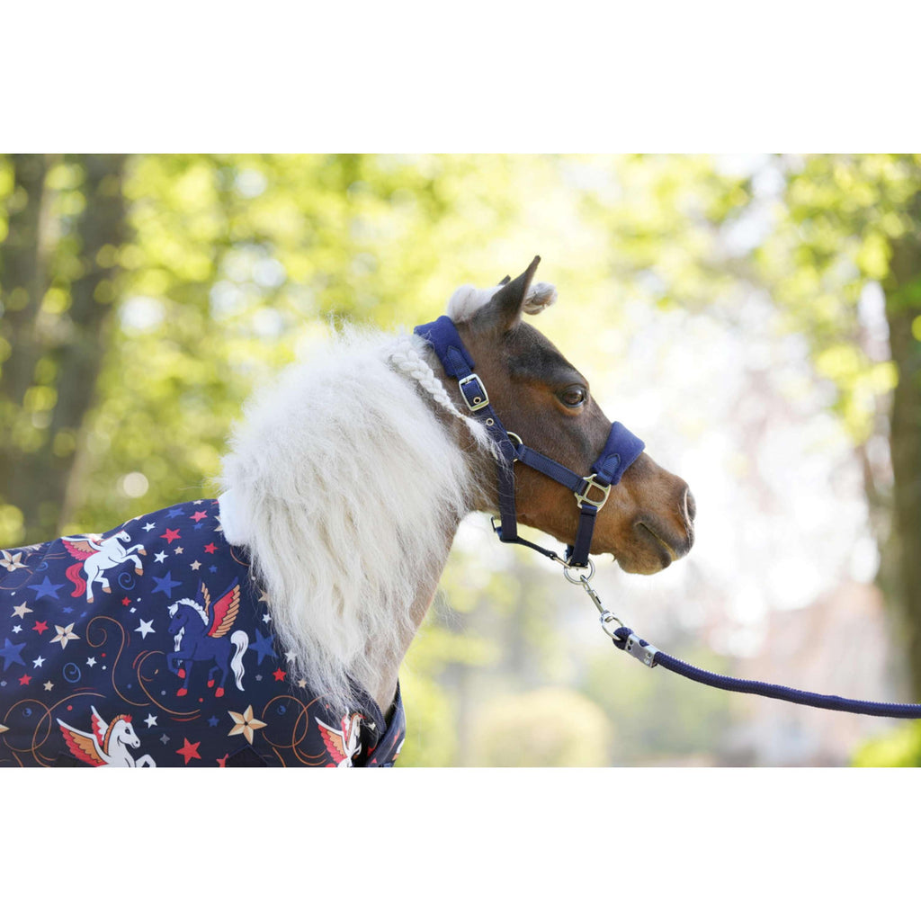HB Outdoor Rug Little Sizes navy flying horse