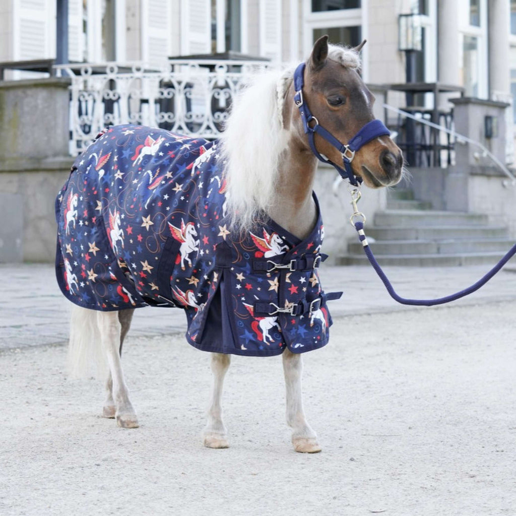 HB Outdoor Rug Little Sizes navy flying horse