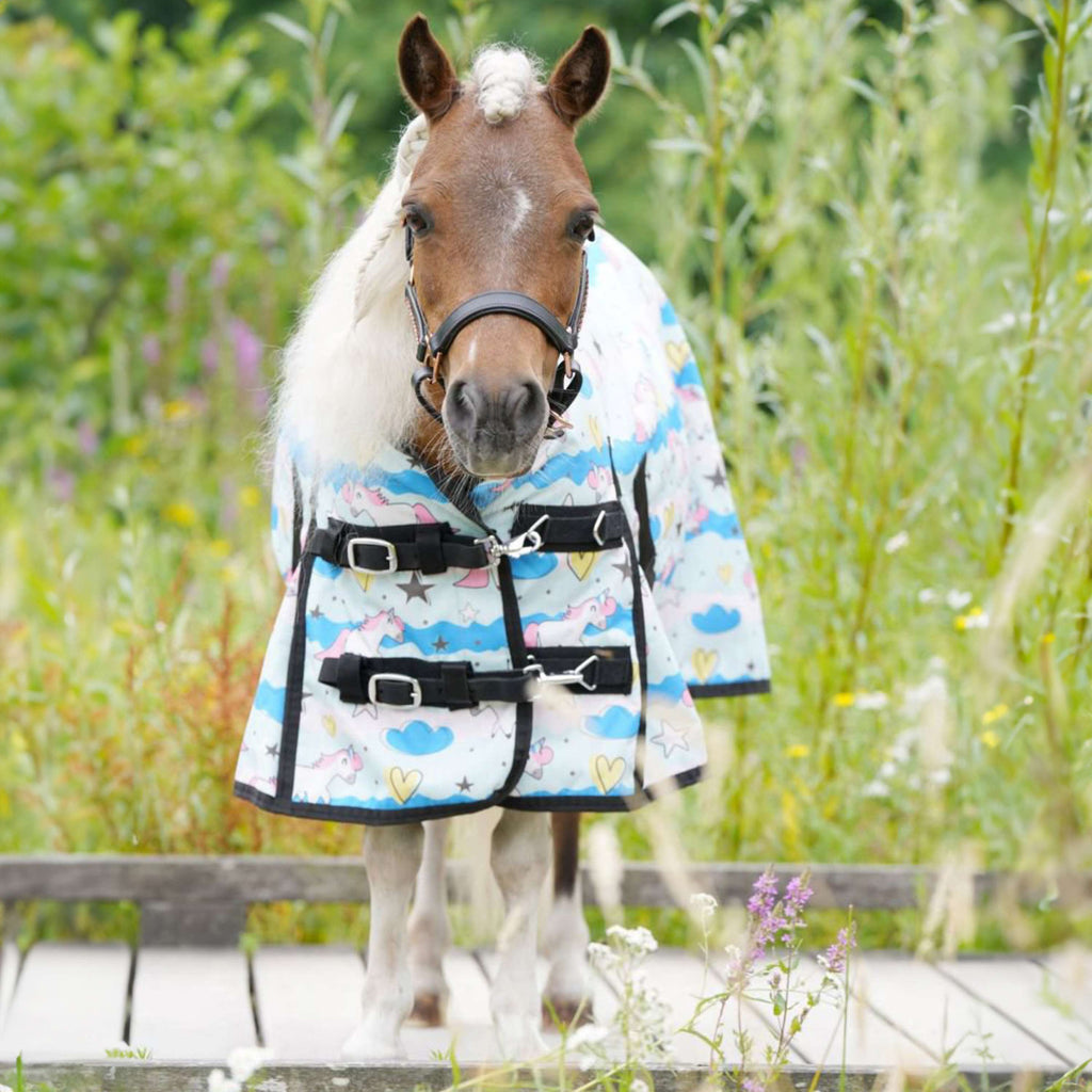 HB Harry & Hector Outdoor Rug 0g Harry & Hector Unicorn Triple