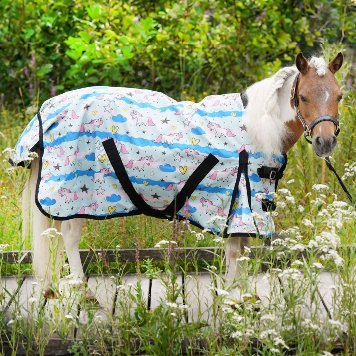 HB Harry & Hector Outdoor Rug Harry & Hector Unicorn Triple