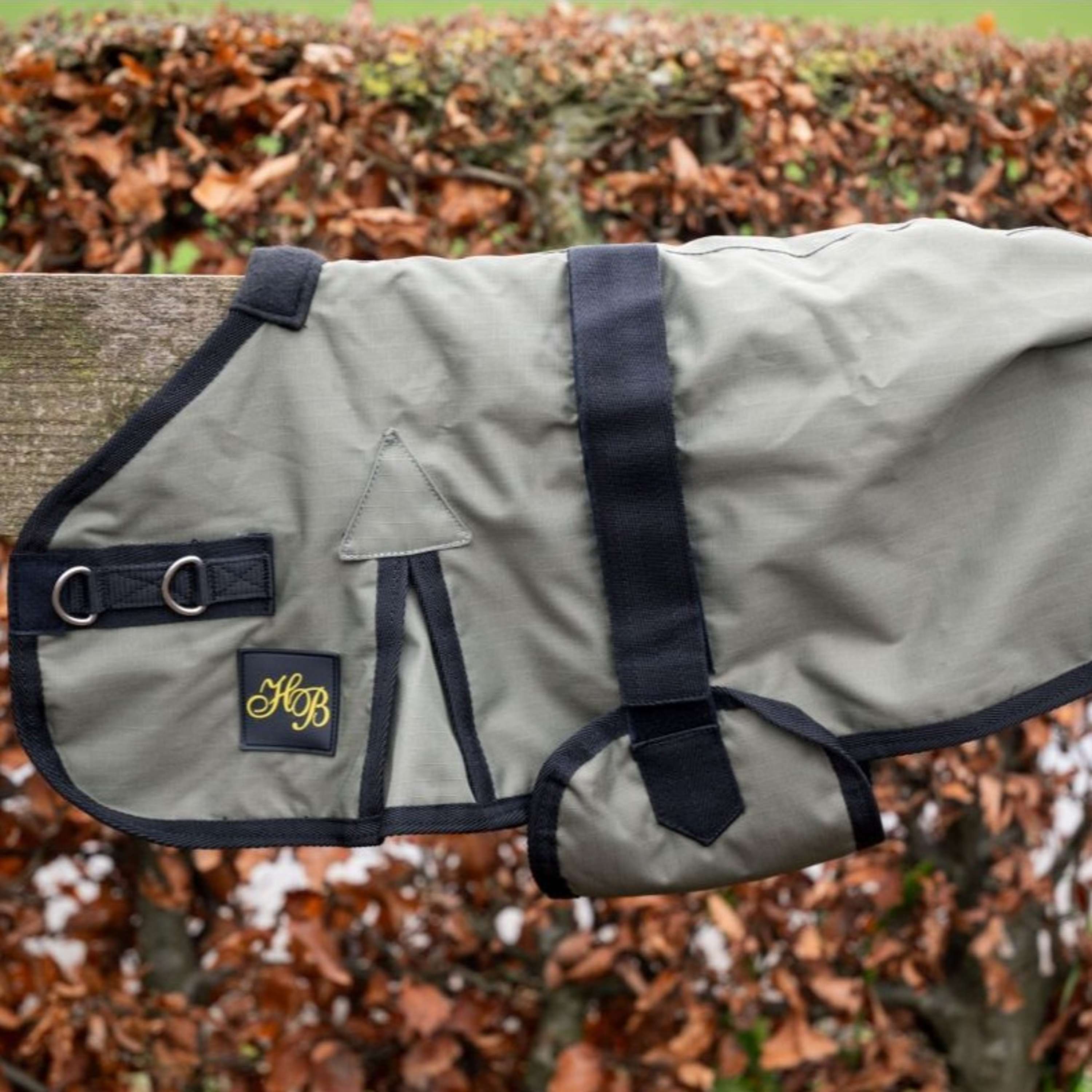 HB Foal Rug Ukki Olive Green