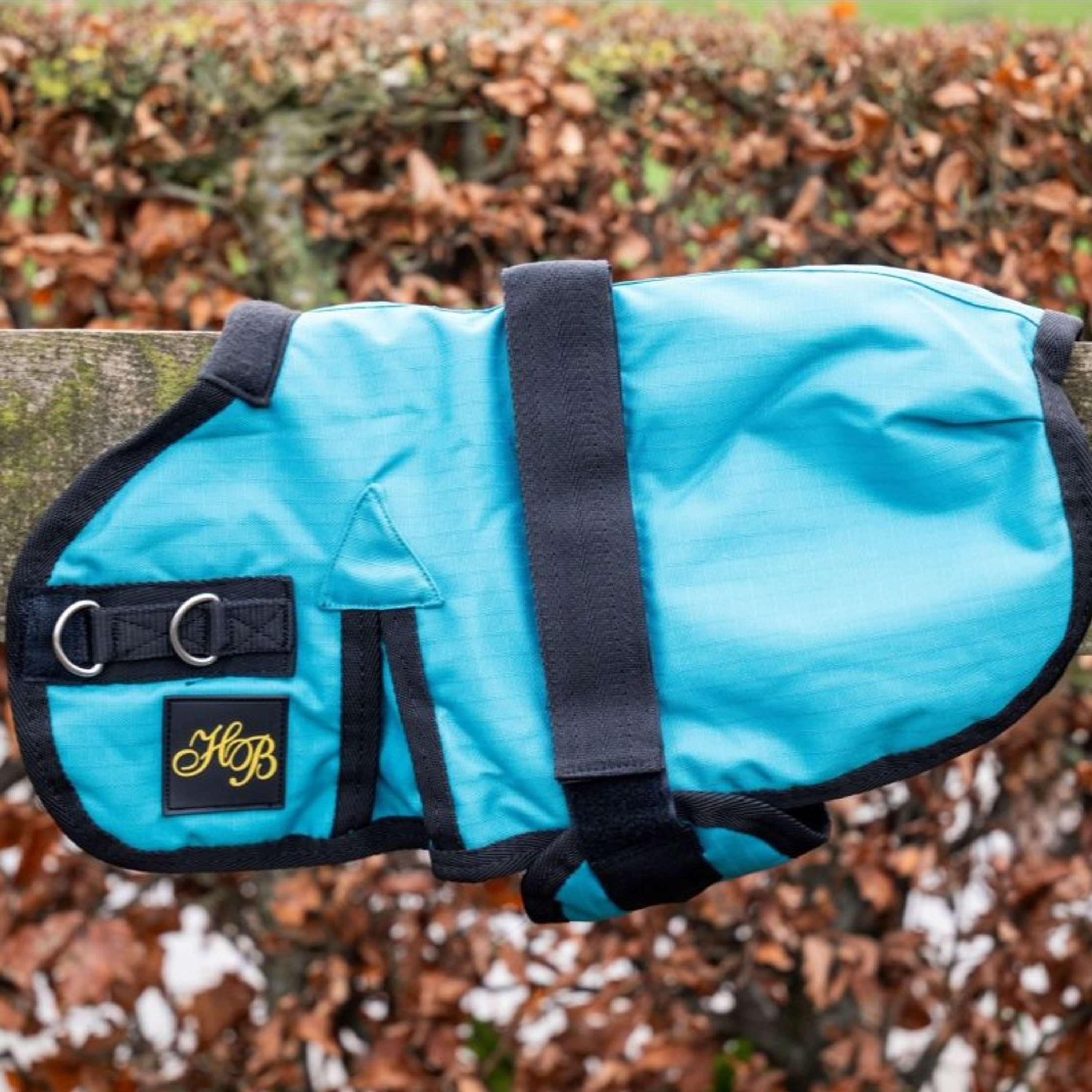 HB Foal Rug Ukki Turquoise