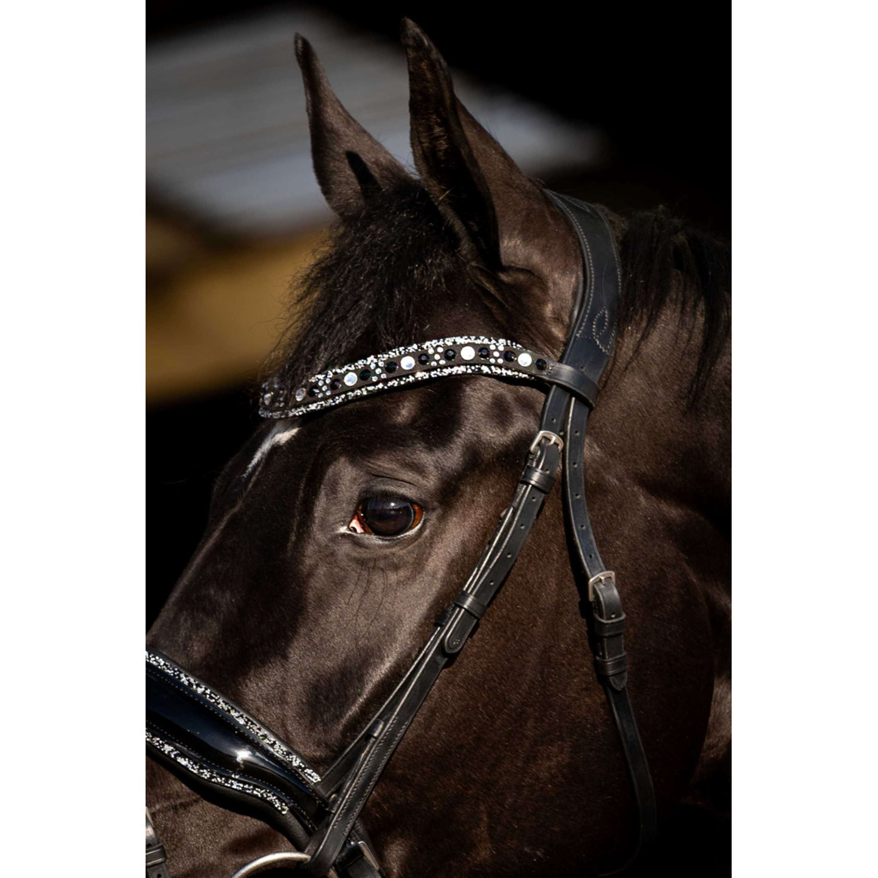 HB Bridle Black River Black