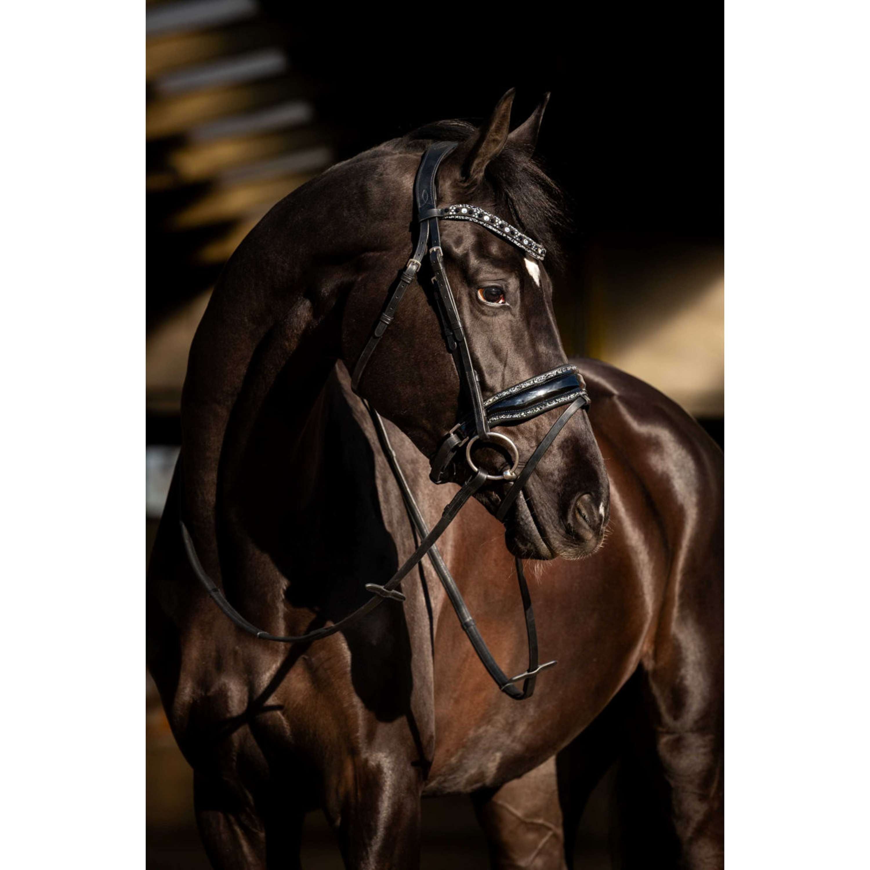 HB Bridle Black River Black