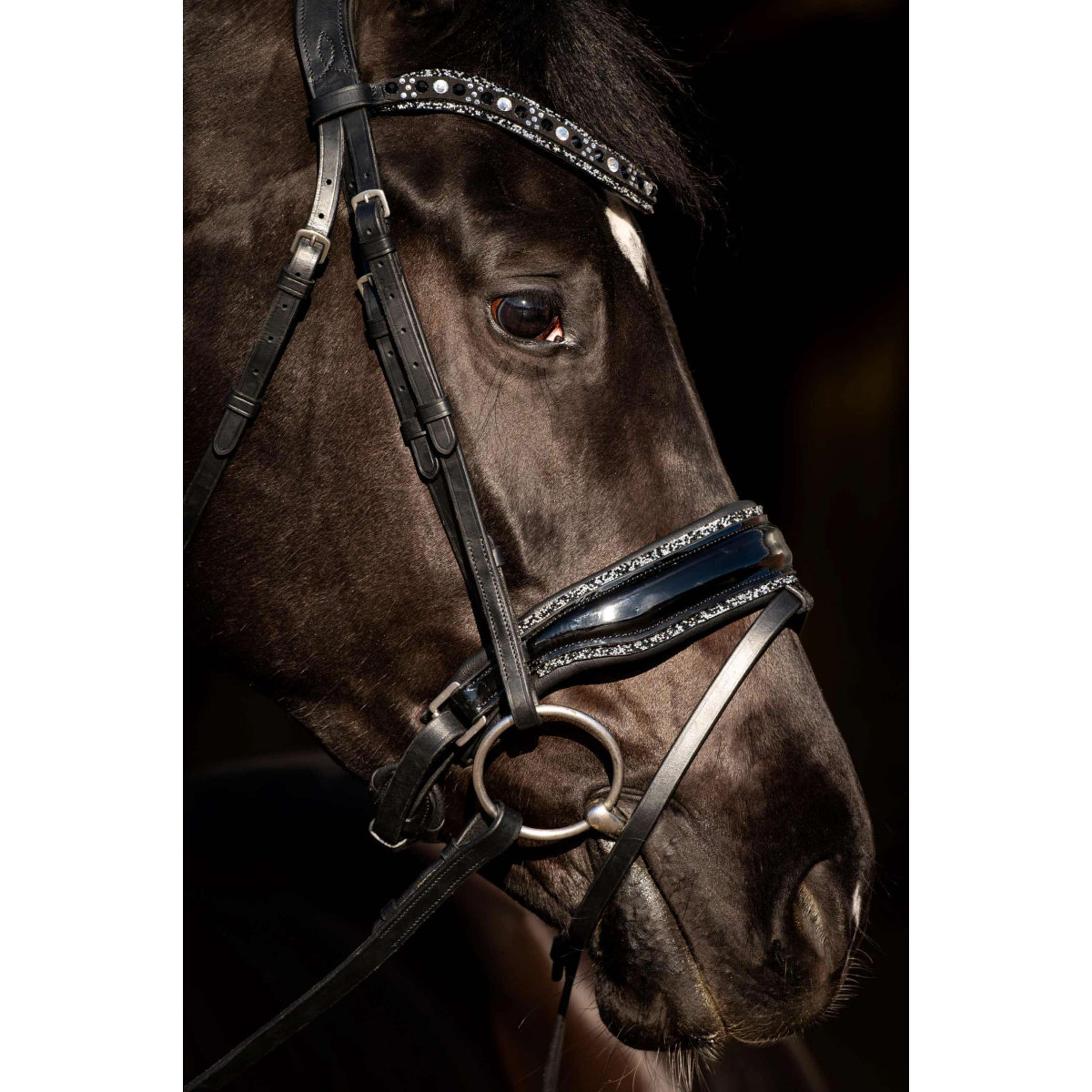 HB Bridle Black River Black