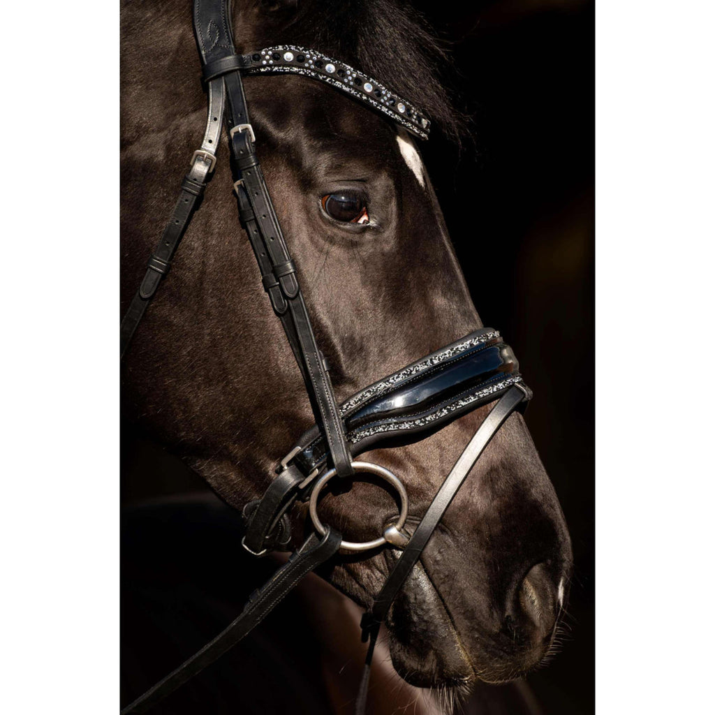 HB Bridle Black River Black