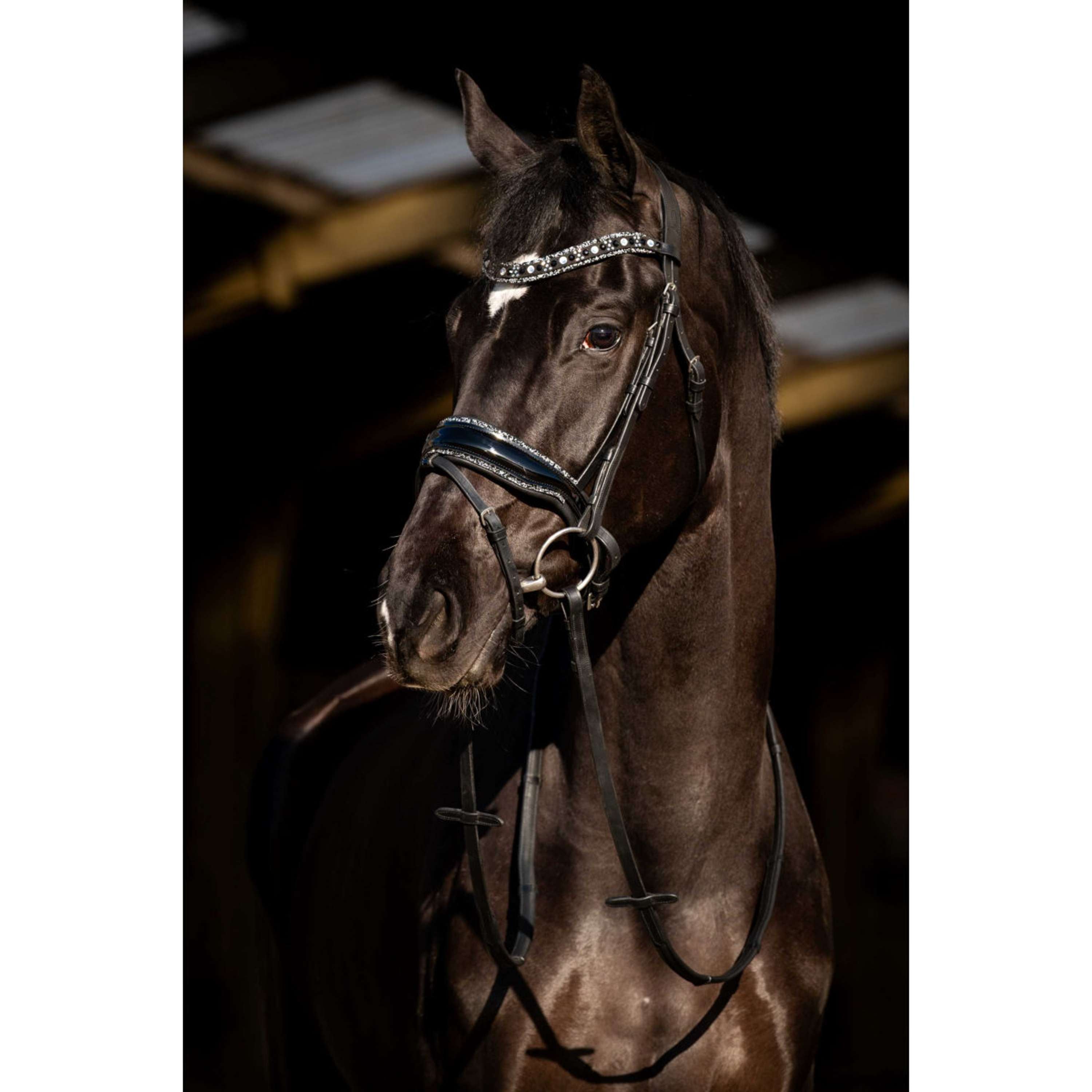 HB Bridle Black River Black