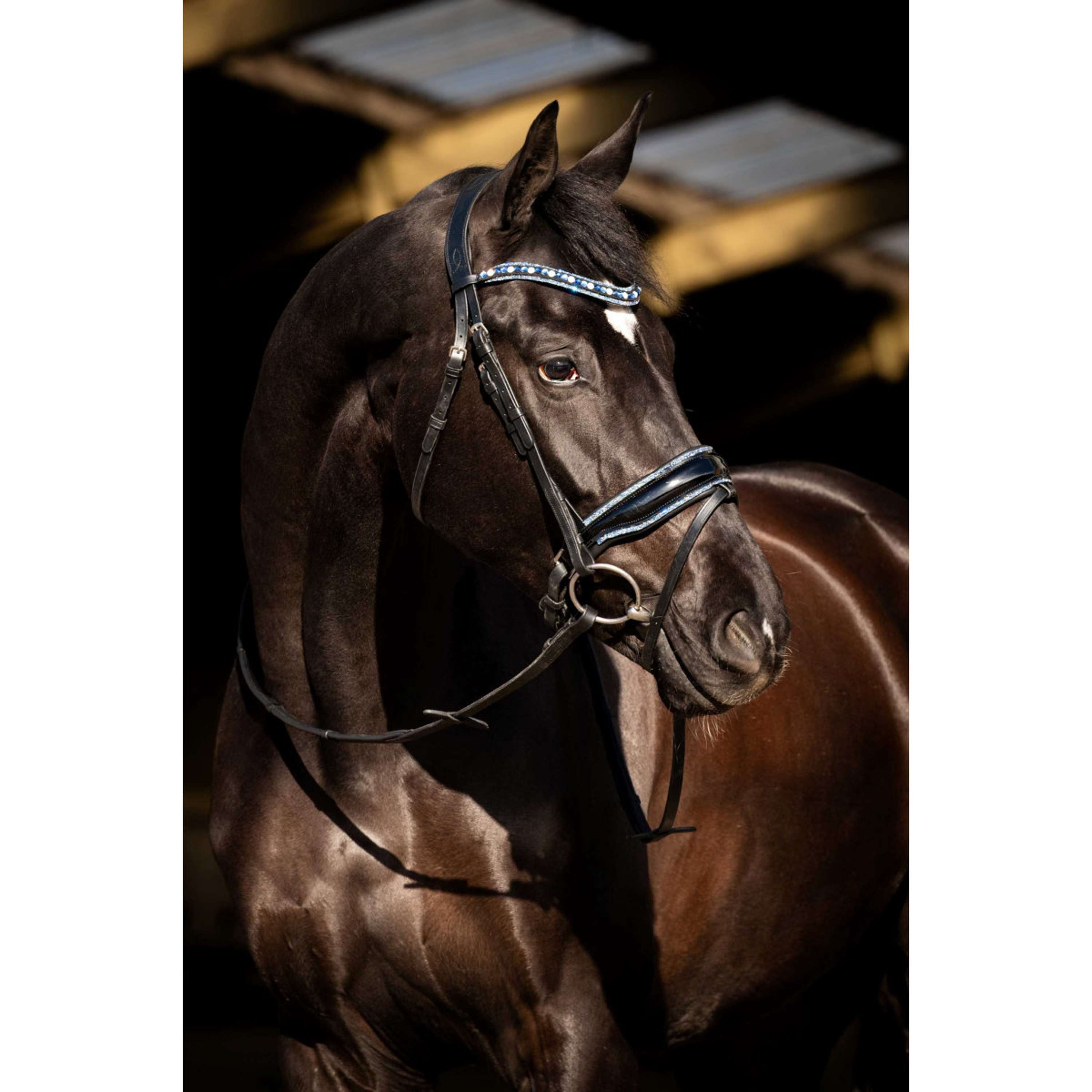 HB Bridle Blue Ocean Black