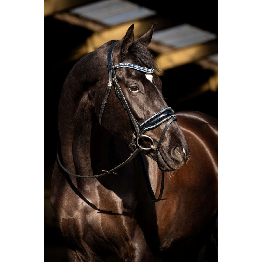HB Bridle Blue Ocean Black