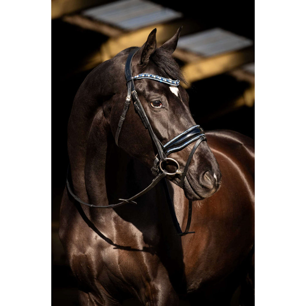 HB Bridle Blue Ocean Black