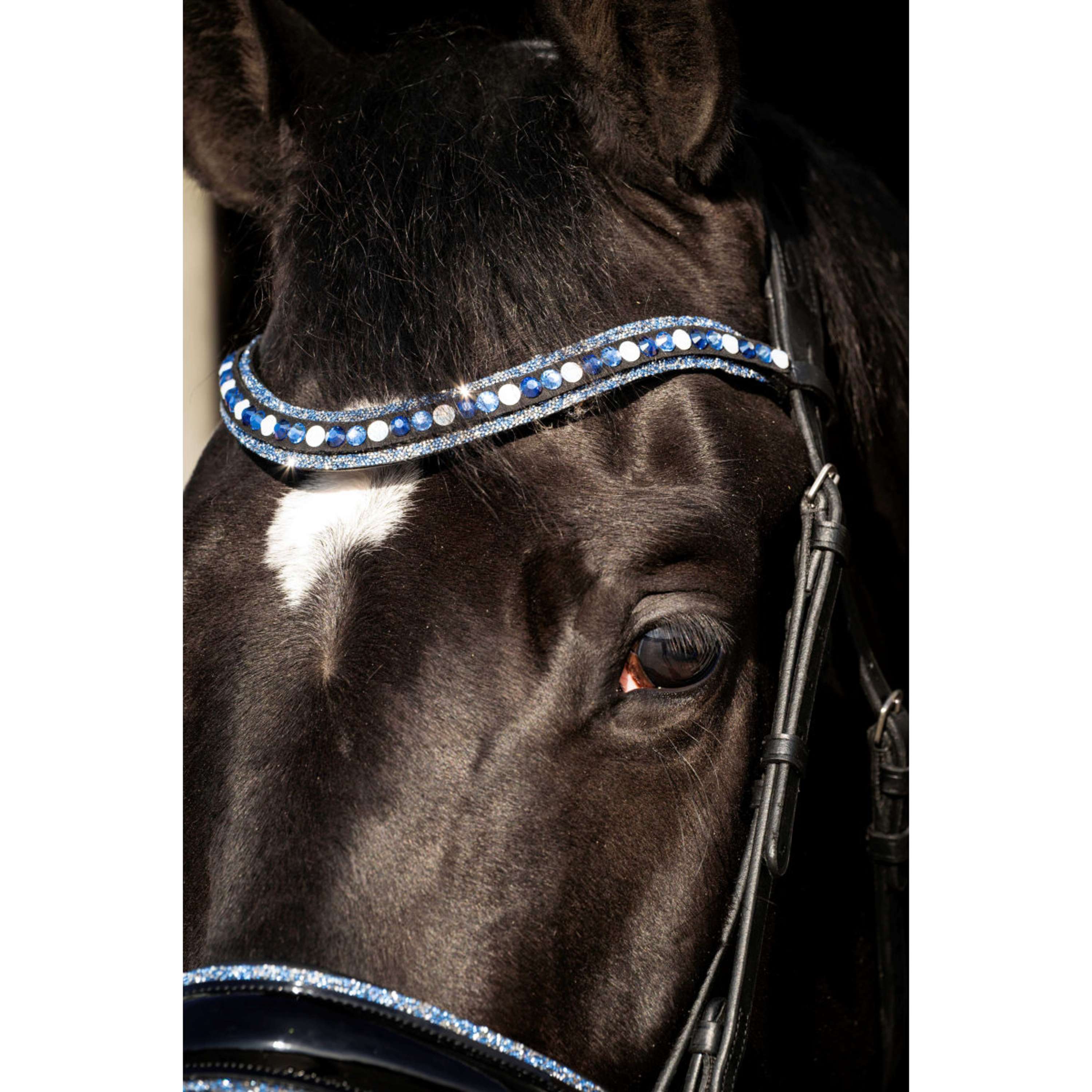 HB Bridle Blue Ocean Black