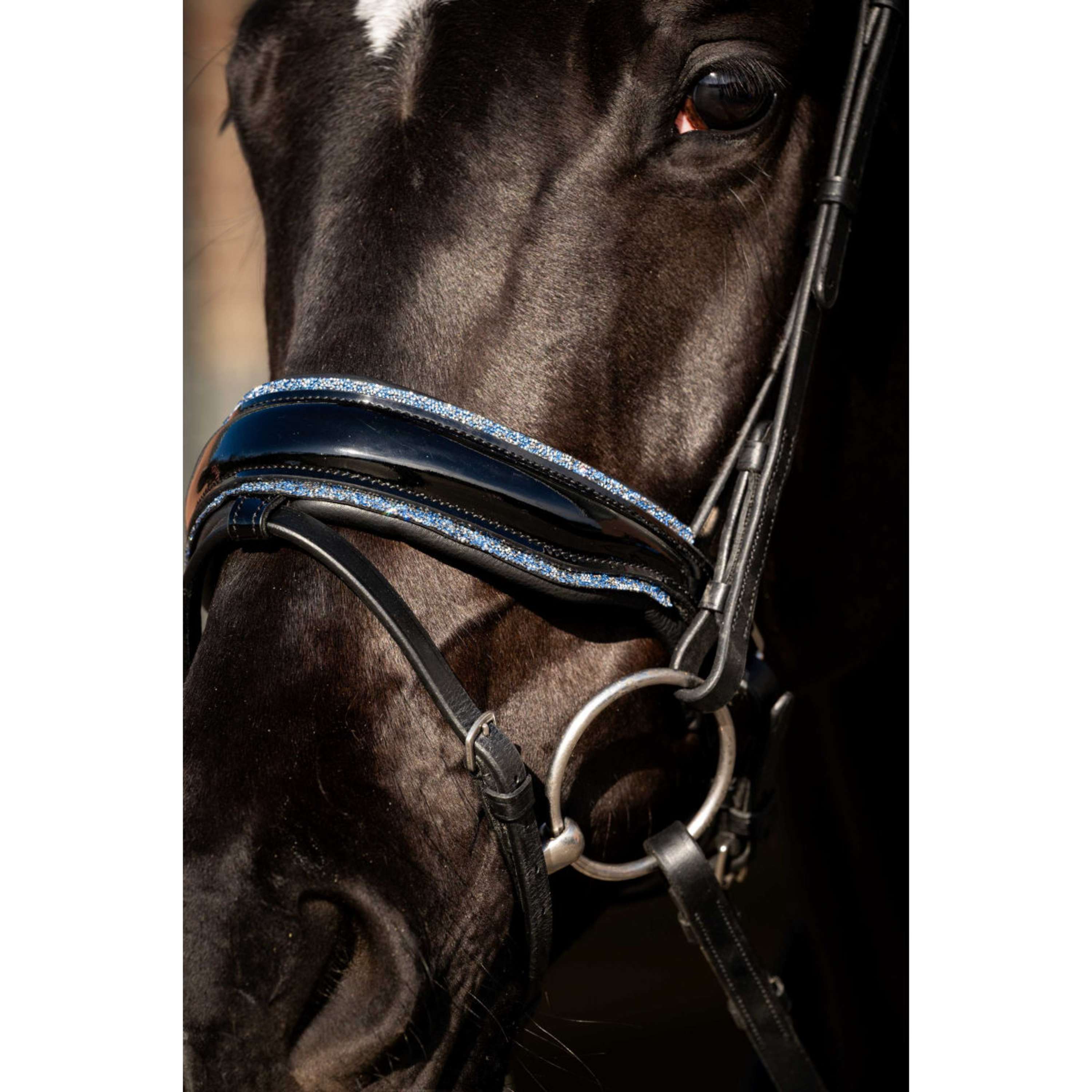 HB Bridle Blue Ocean Black